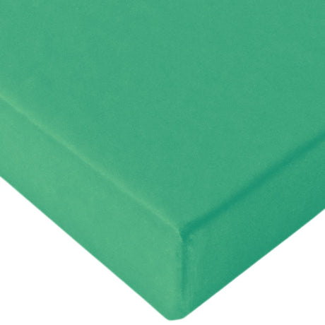 Hatashita Smooth Tatami - Half Size (1mx1mx4cm)