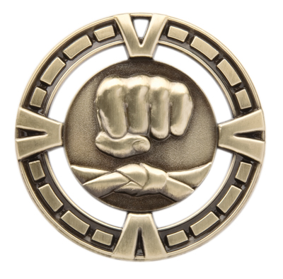 Martial Arts Varsity Medal