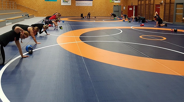 Dollamur Wrestling Mat