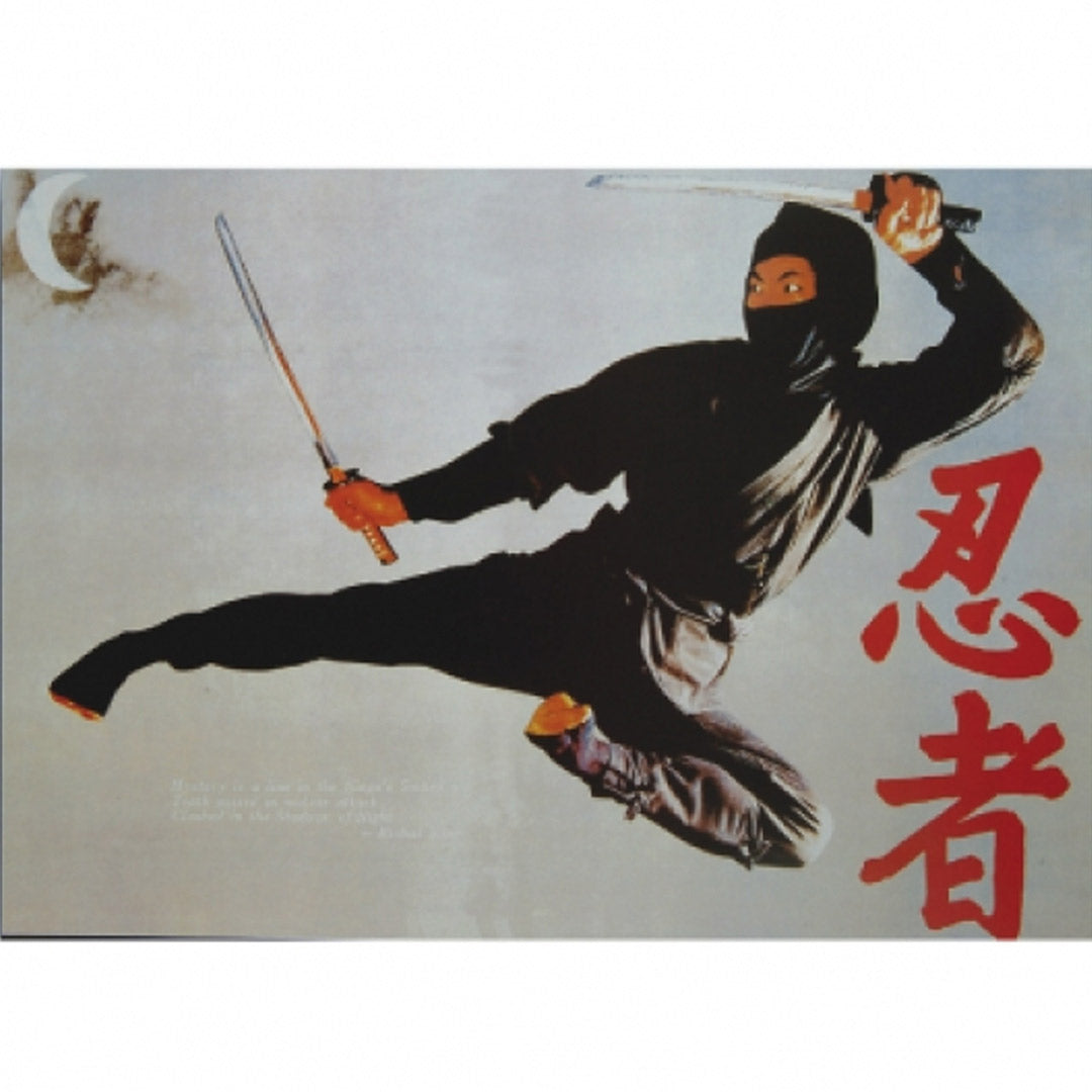 Wacoku Ninja Poster