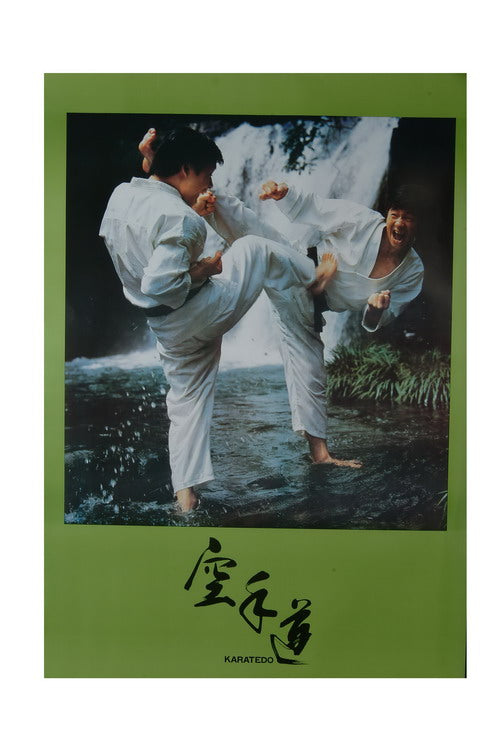Wacoku Karate Poster