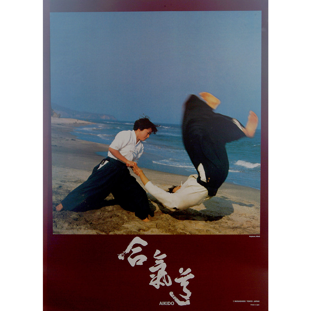 Wacoku Aikido Poster