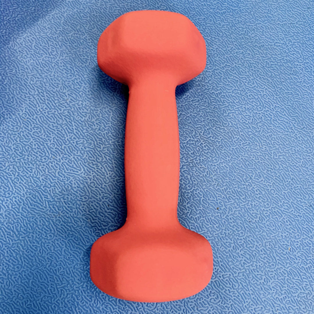 Deluxe neoprene vinyl dumbbells