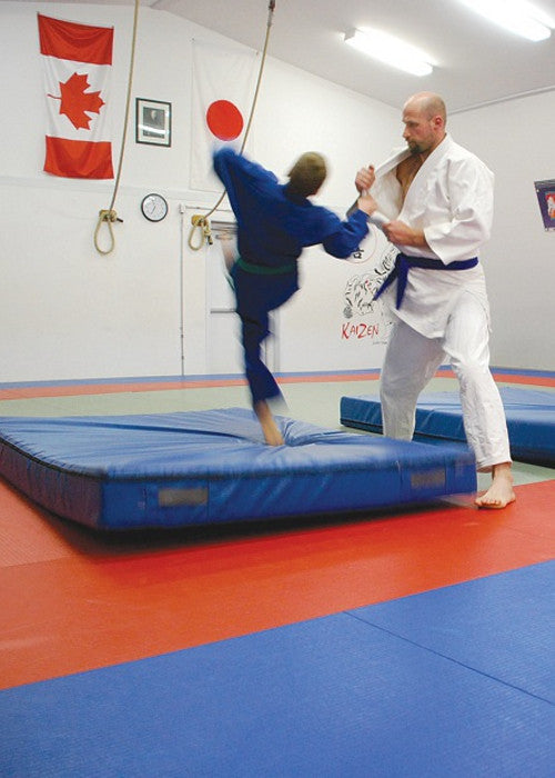 Gym landing crash mat hot sale