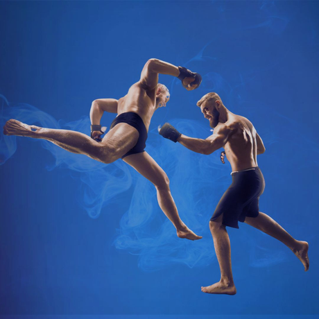 Mixed Martial Arts