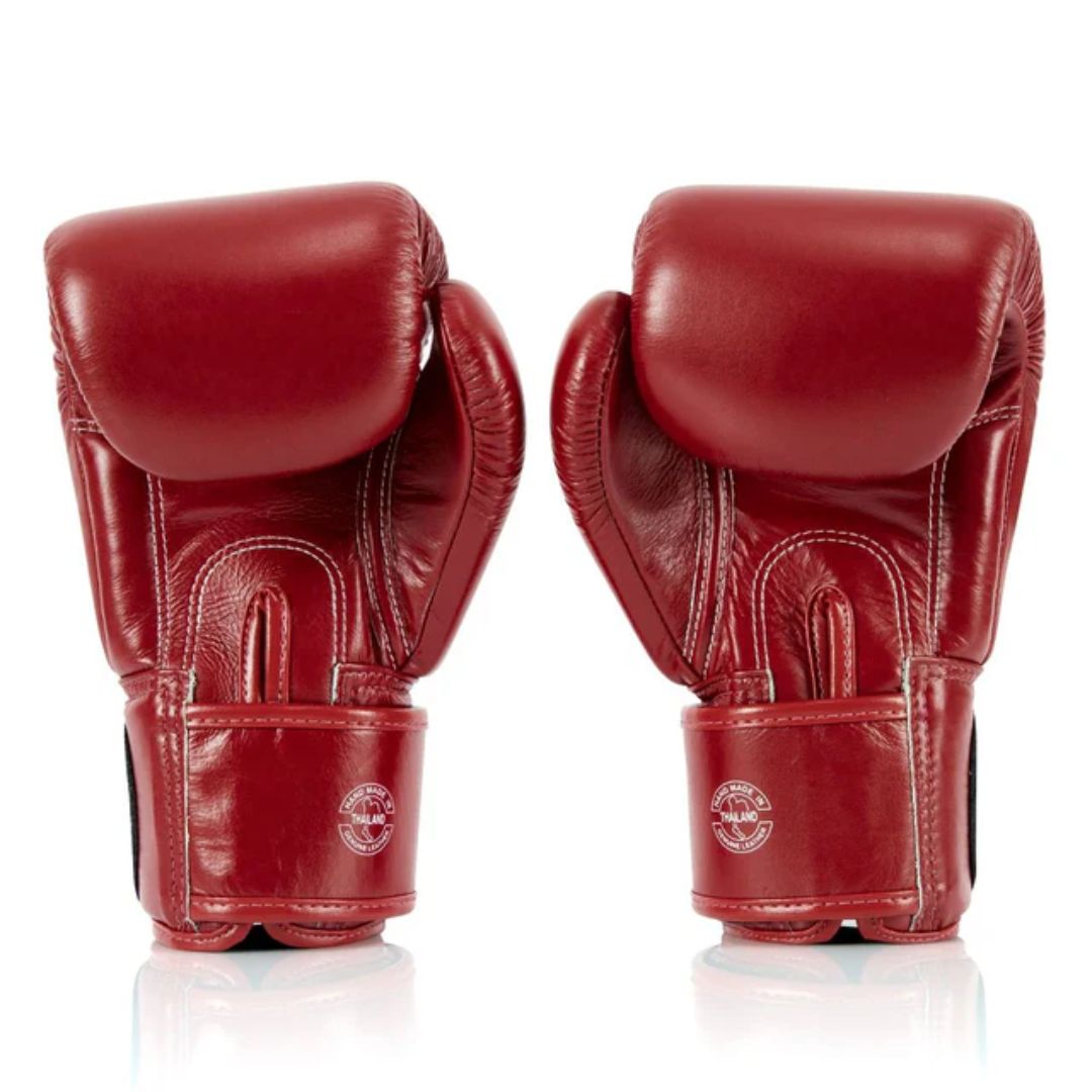 Fairtex BGV1 ONE X Fairtex Boxing Gloves 10oz – Hatashita