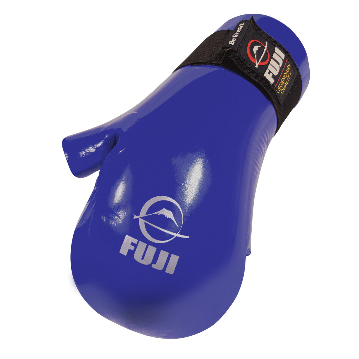 Fuji Sparring Punch