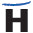 Hatashita logo