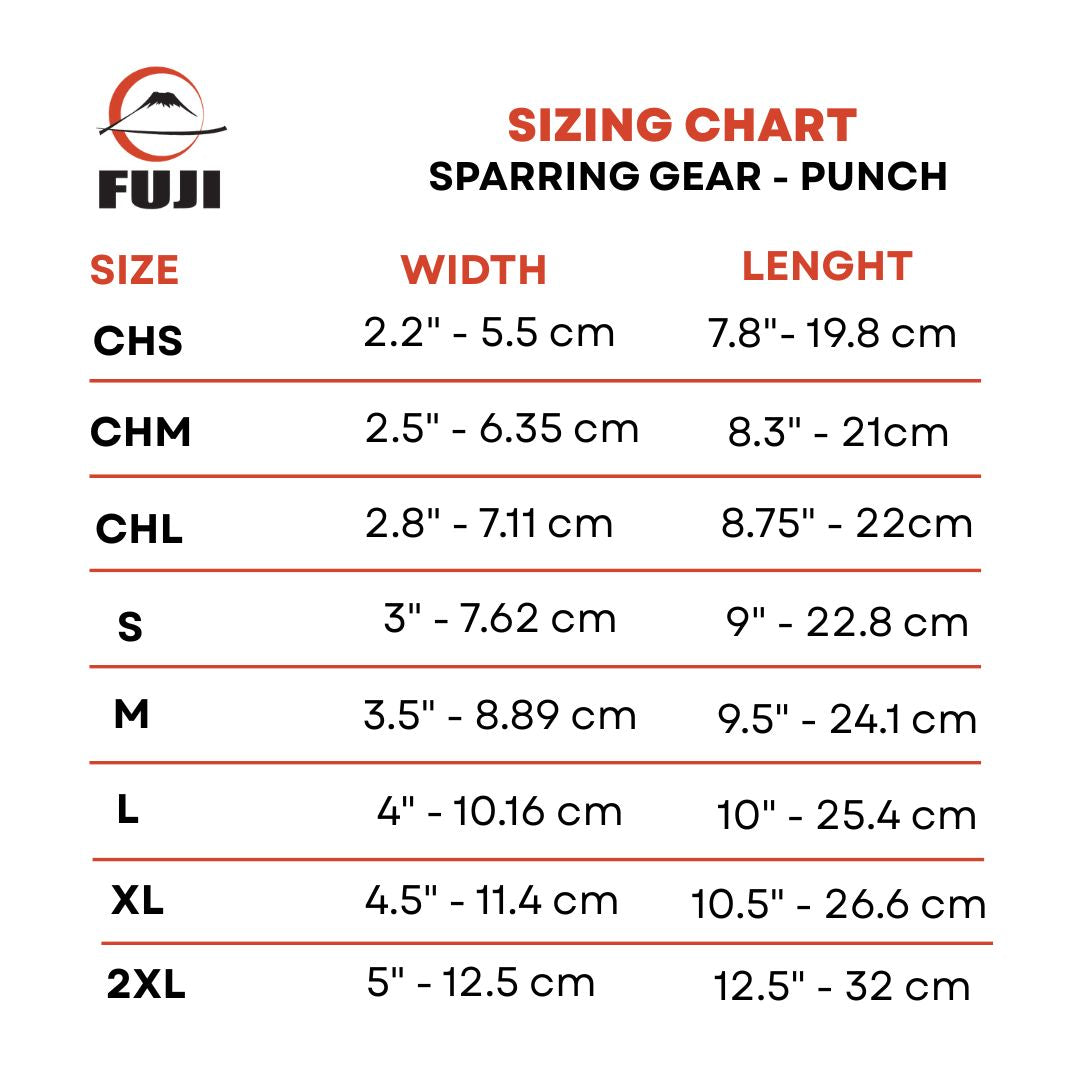 Fuji Sparring Punch