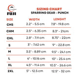 Fuji Sparring Punch