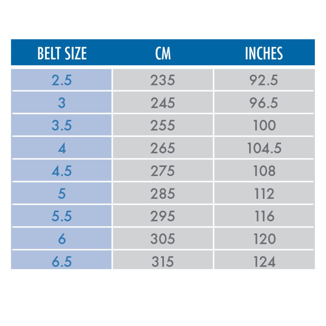 Mizuno Silver Label Black Belt -  IJF approved