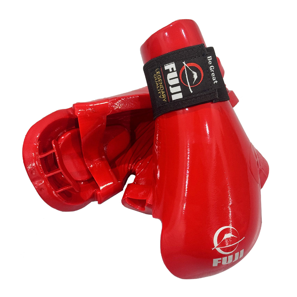 Fuji Sparring Punch