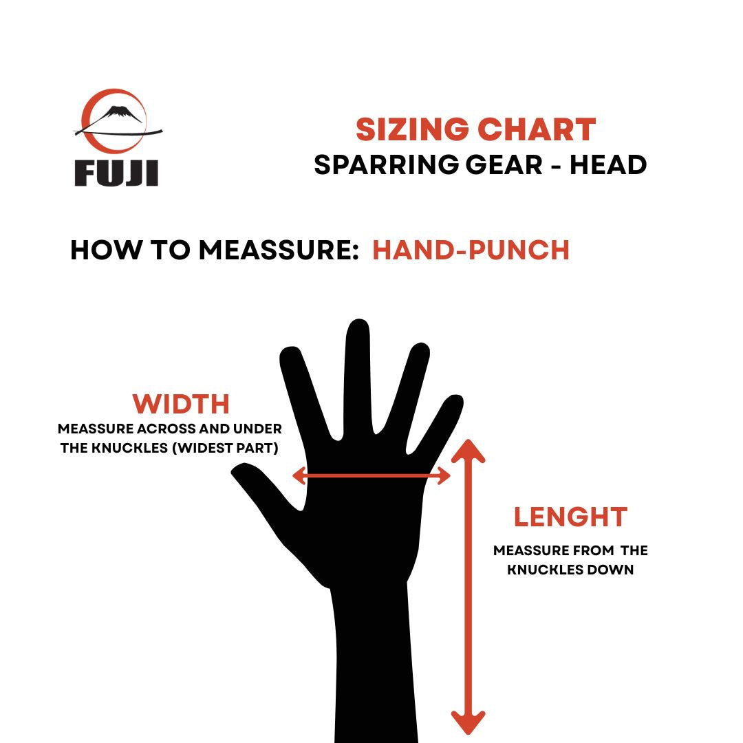 Fuji Sparring Punch