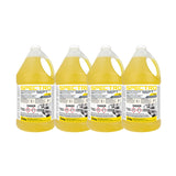 Spectro-Sept — Multi-Purpose Mat Disinfectant