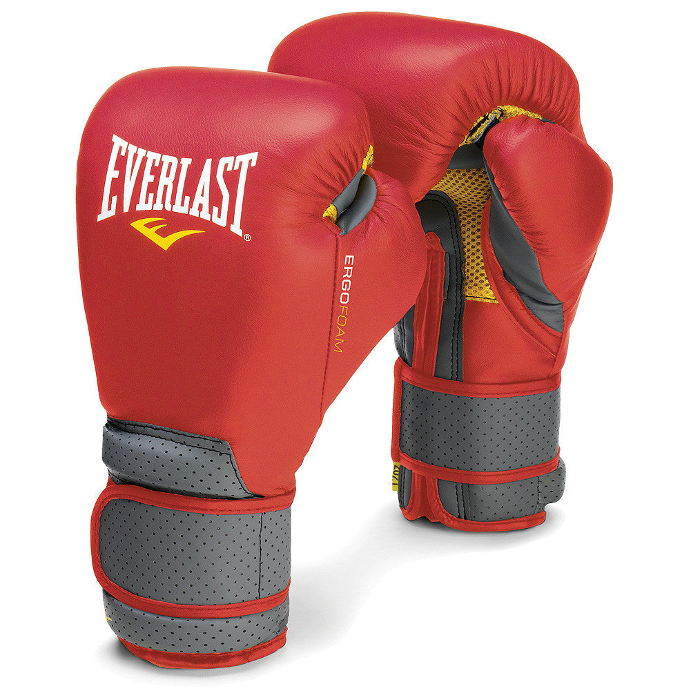 Everlast Leather Hook & Loop Training Gloves - Hatashita