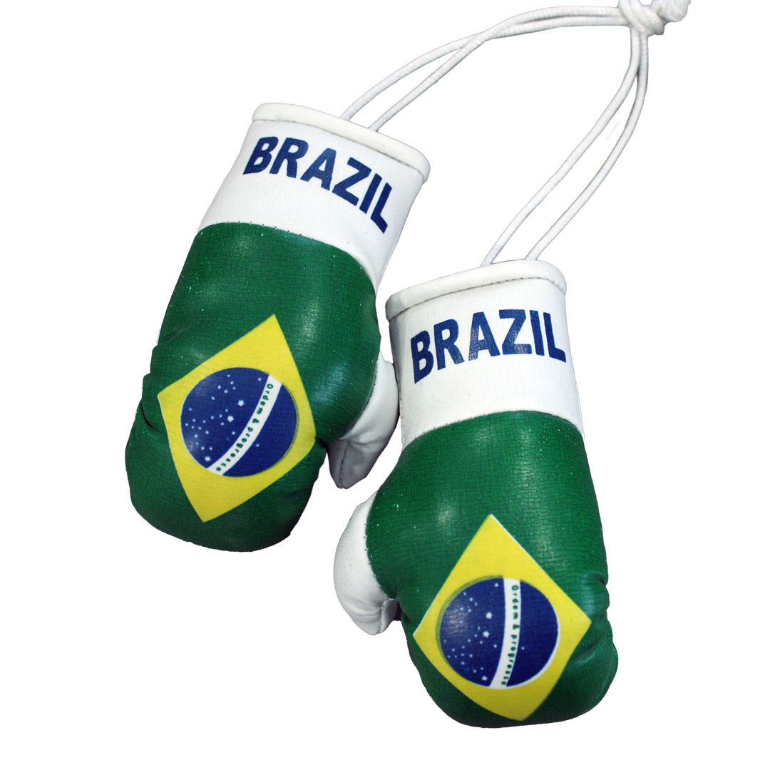 Hatashita Mini Boxing Gloves
