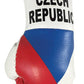 Hatashita Mini Boxing Gloves