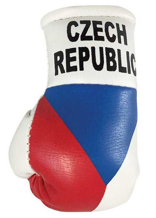 Hatashita Mini Boxing Gloves