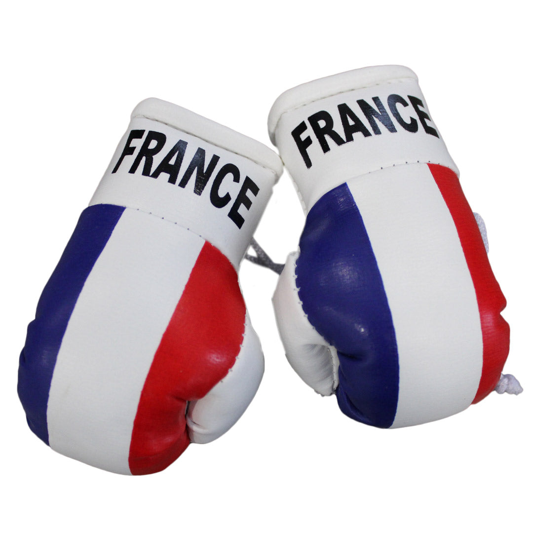 Hatashita Mini Boxing Gloves