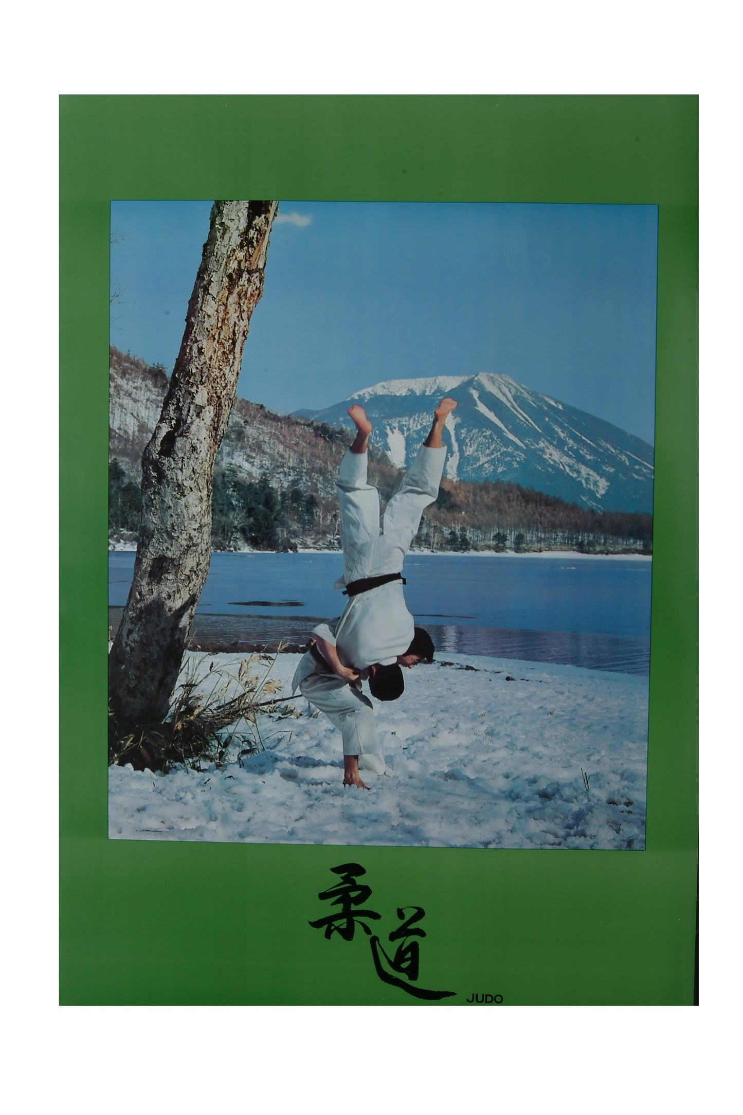 Judo Poster