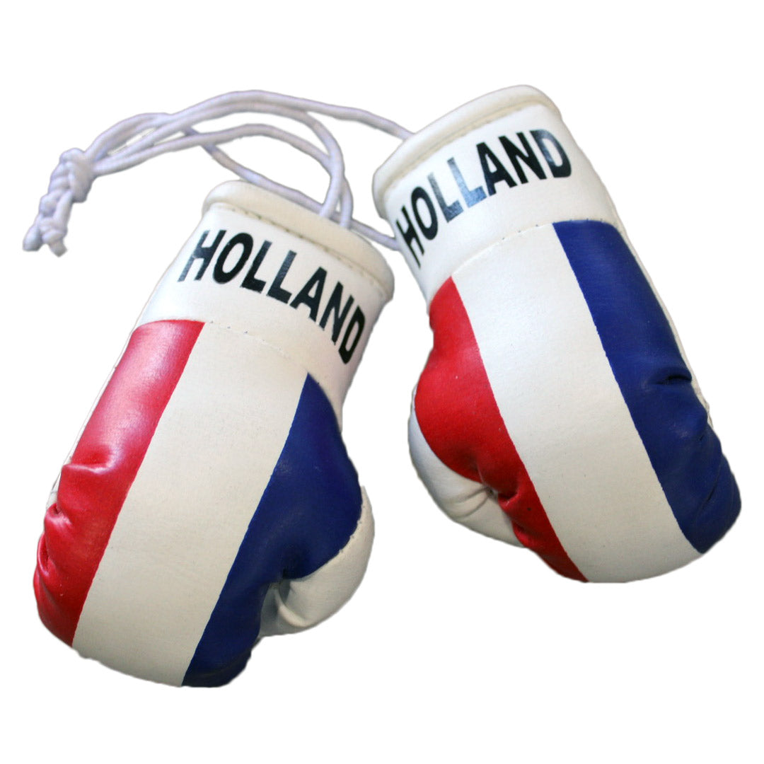 Hatashita Mini Boxing Gloves