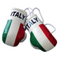 Hatashita Mini Boxing Gloves