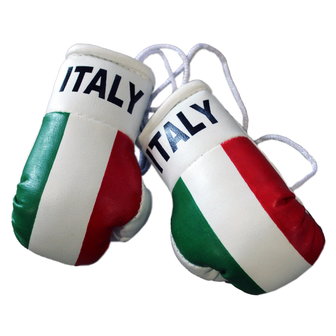 Hatashita Mini Boxing Gloves