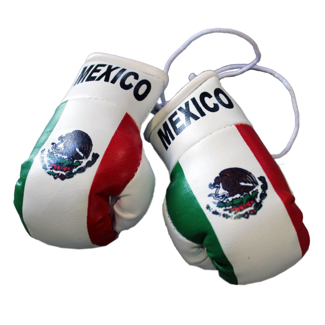 Hatashita Mini Boxing Gloves