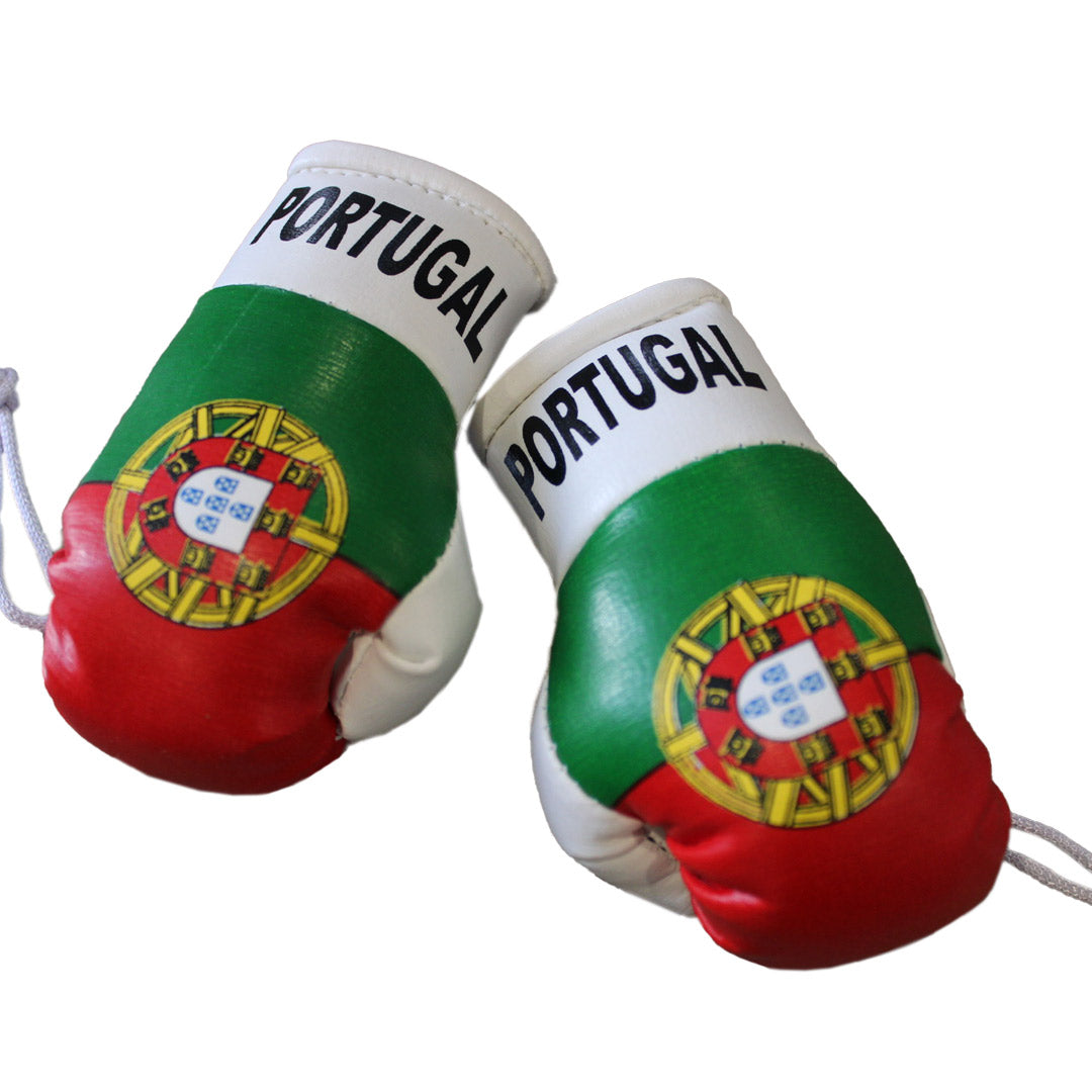 Hatashita Mini Boxing Gloves