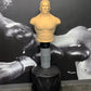 Boxing Man Free Standing Torso