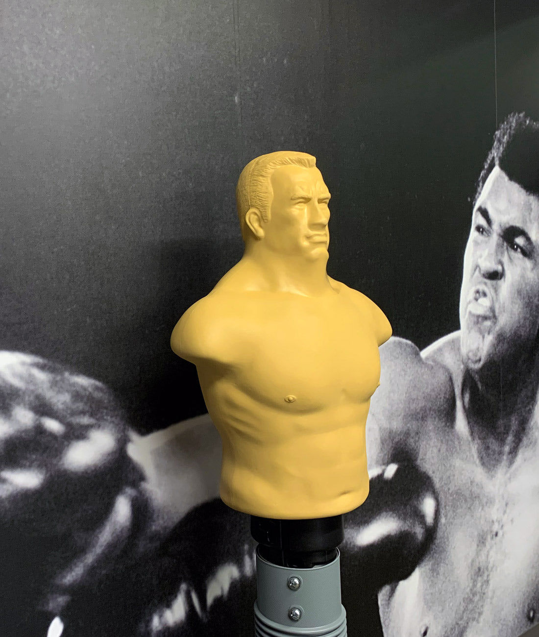 Boxing Man Free Standing Torso