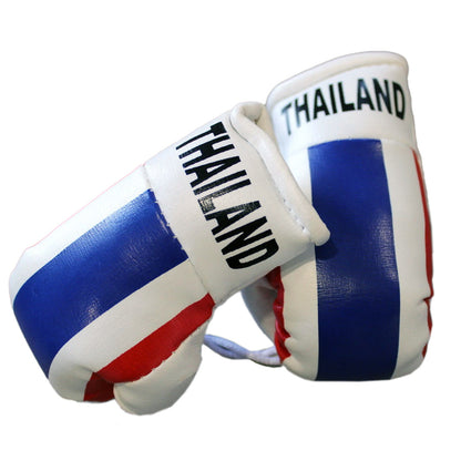 Hatashita Mini Boxing Gloves