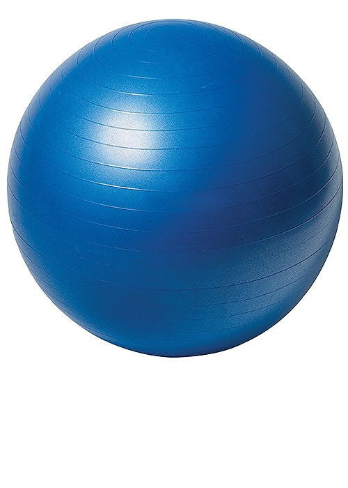 Everlast Burst Resistant Fitness Ball - Hatashita