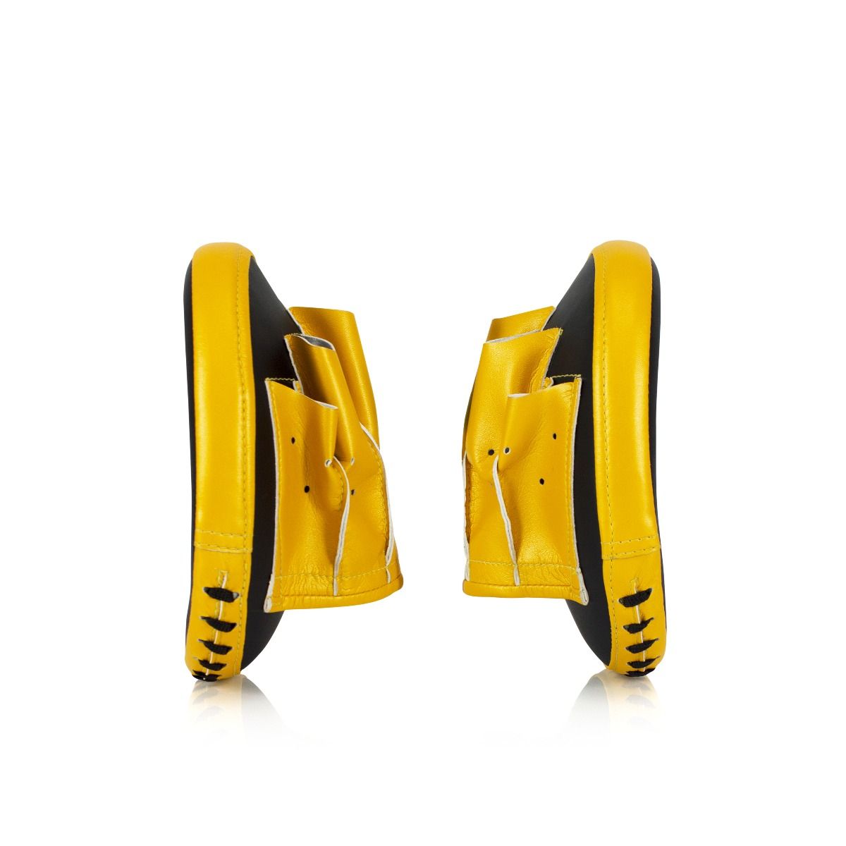 Fairtex Speed & Accuracy Focus Mitts