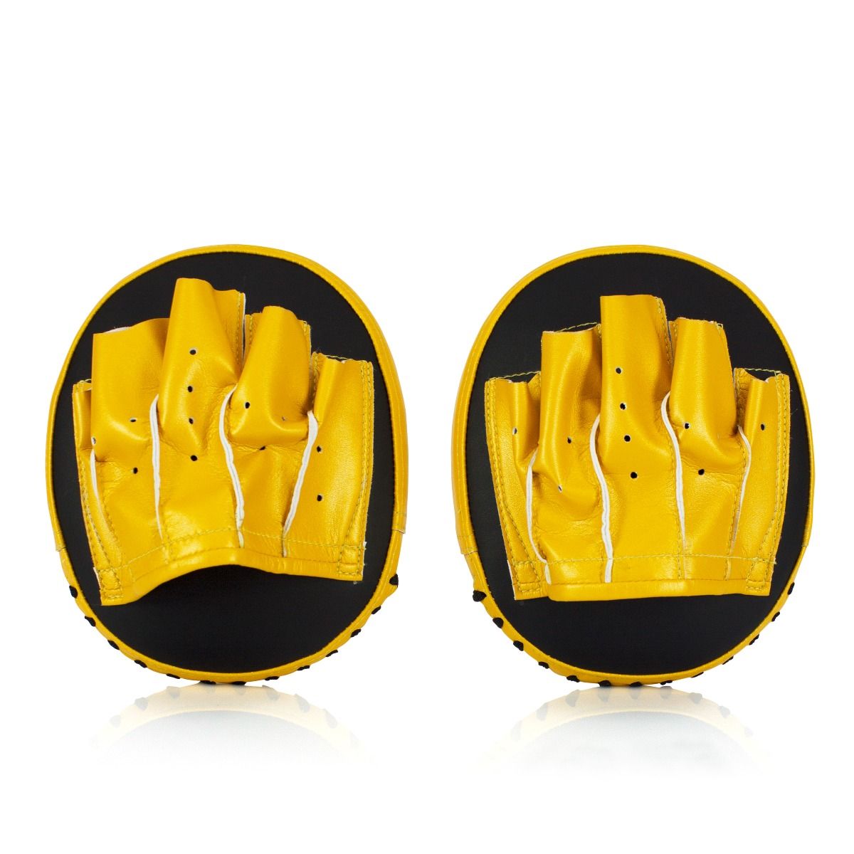 Fairtex Speed & Accuracy Focus Mitts