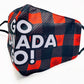 Pack of two Canada pride masks