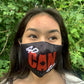 Pack of two Canada pride masks