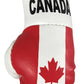 Hatashita Mini Boxing Gloves