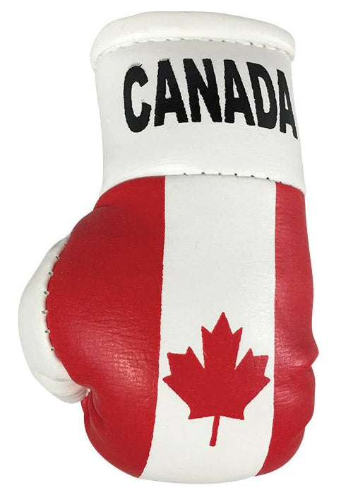 Hatashita Mini Boxing Gloves