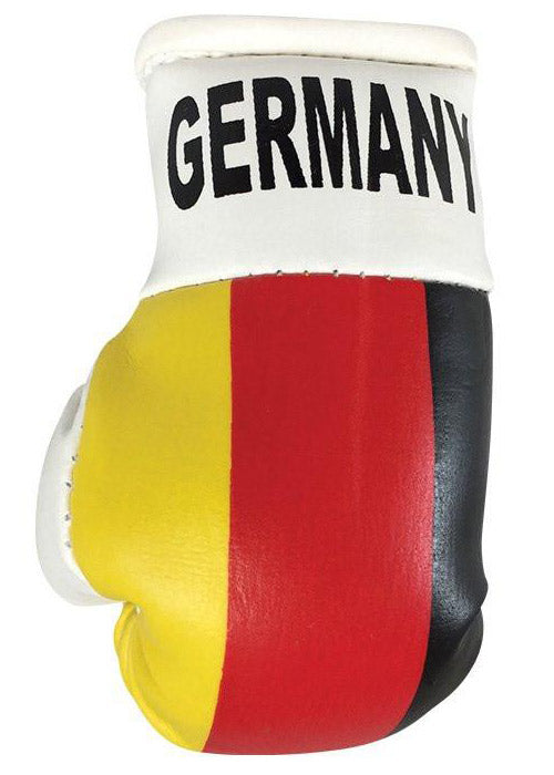 Hatashita Mini Boxing Gloves