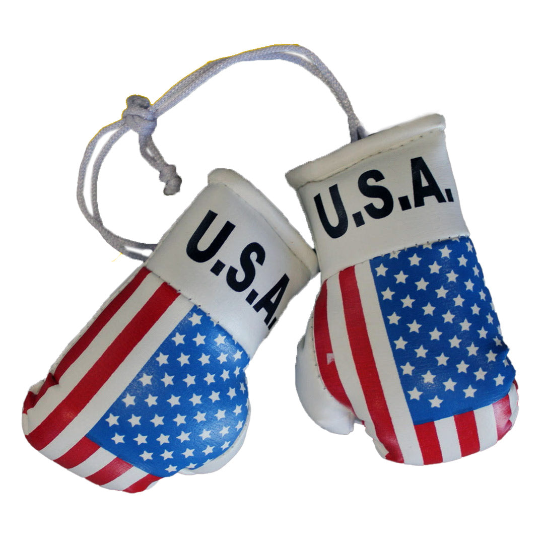 Hatashita Mini Boxing Gloves