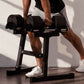 Hatashita Heavy Duty Dumbbell Stand
